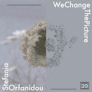 20